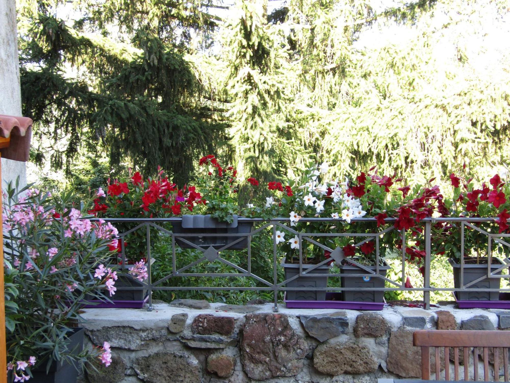 Grande Maison Au Coeur D'Un Village Historique Avec Terrasse Et Wifi Inclus - Fr-1-582-308 Saint-Vidal Zewnętrze zdjęcie